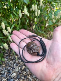Image 5 of Lignum Vitae wood Scarab amulet 