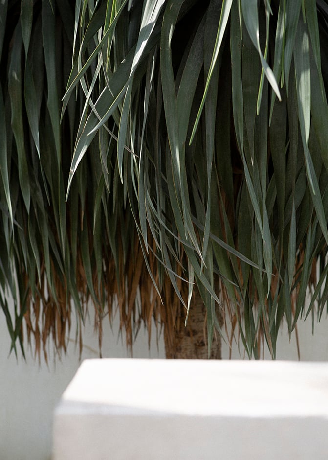 Image of BETONBAUM