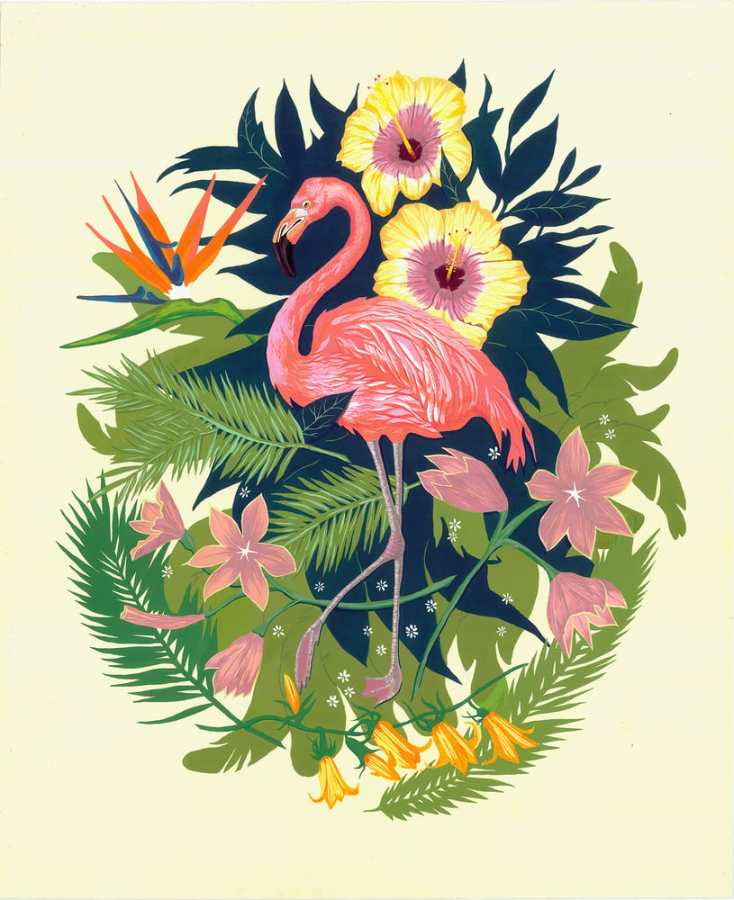 Image of Flamingo jungles