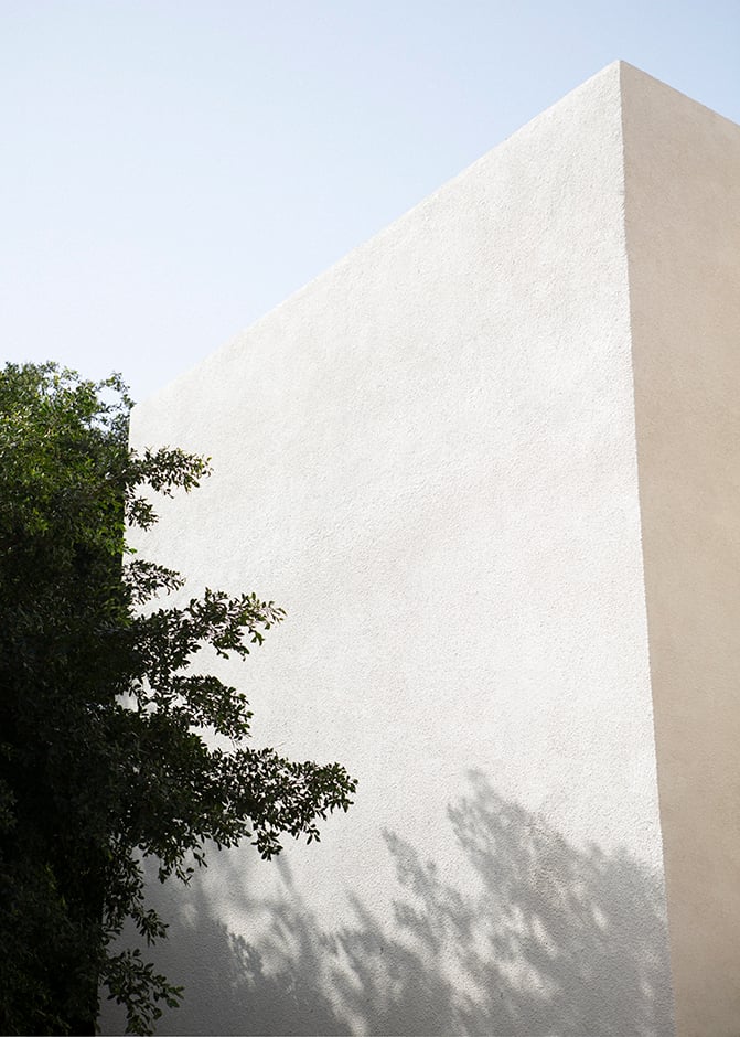 Image of MASA CASA