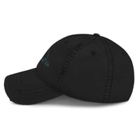 Image 10 of Horsefightertv+ damaged hat