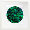 'Efflorescence' Series - Limited Edition Prints 
