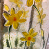 Daffodil Lantern