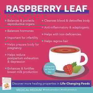 Image of Red Raspberry Leaf Dry Herb
