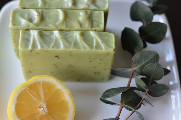 Image of Eucalyptus Lemon 