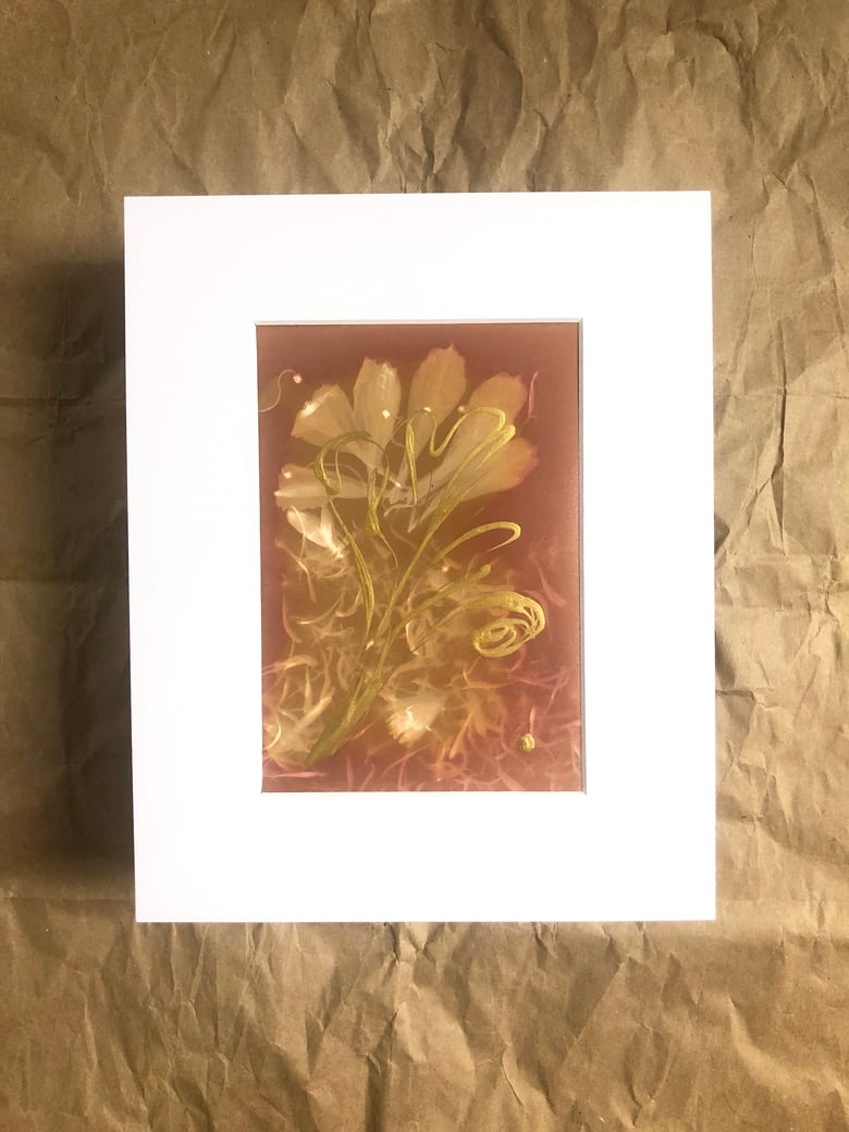 Image of Evening flow
