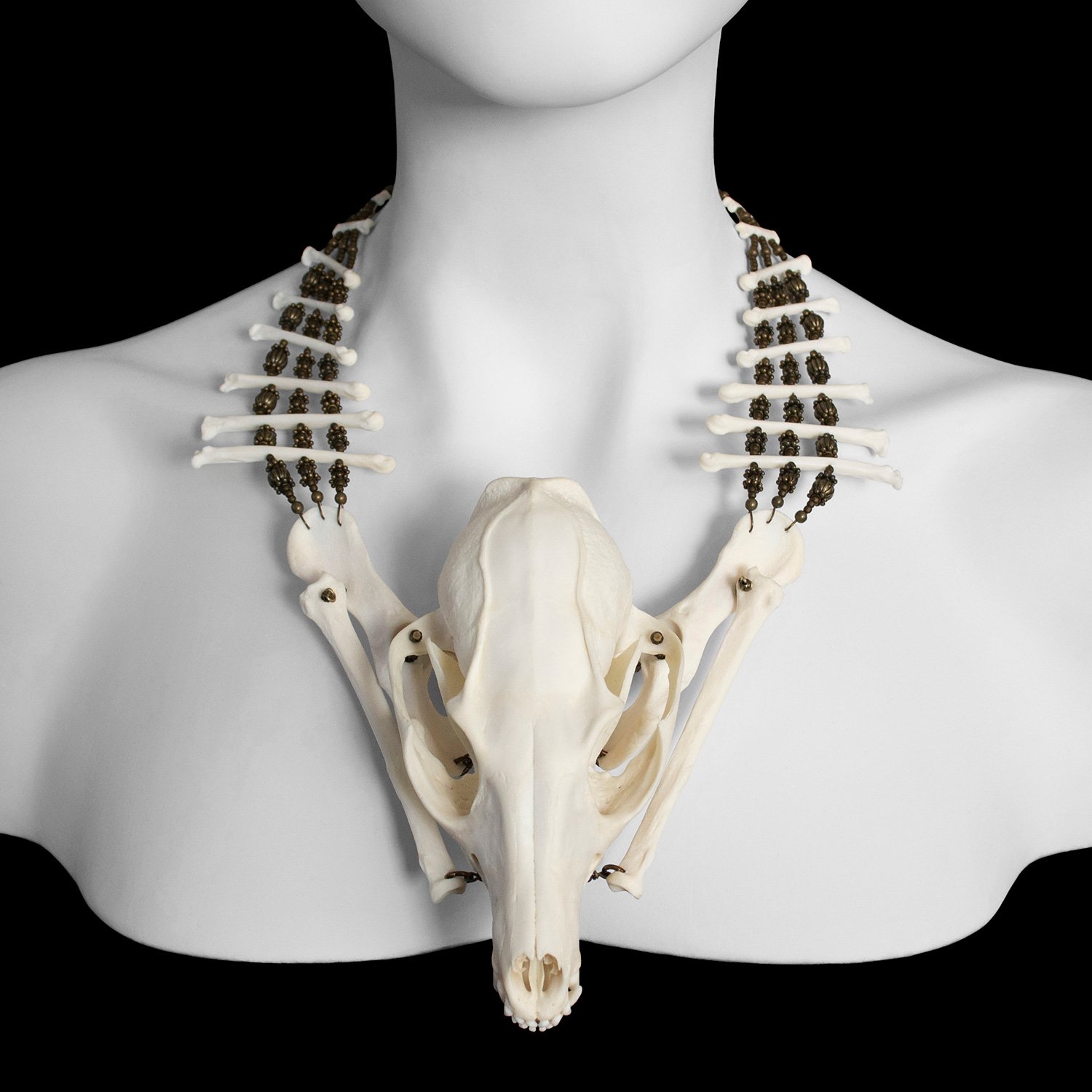"Cemi" Fox Skull and Bone Necklace / Ossuaria