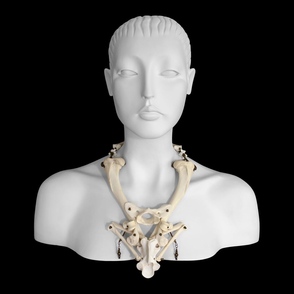 Image of "Ishanta" Coyote Bone Necklace