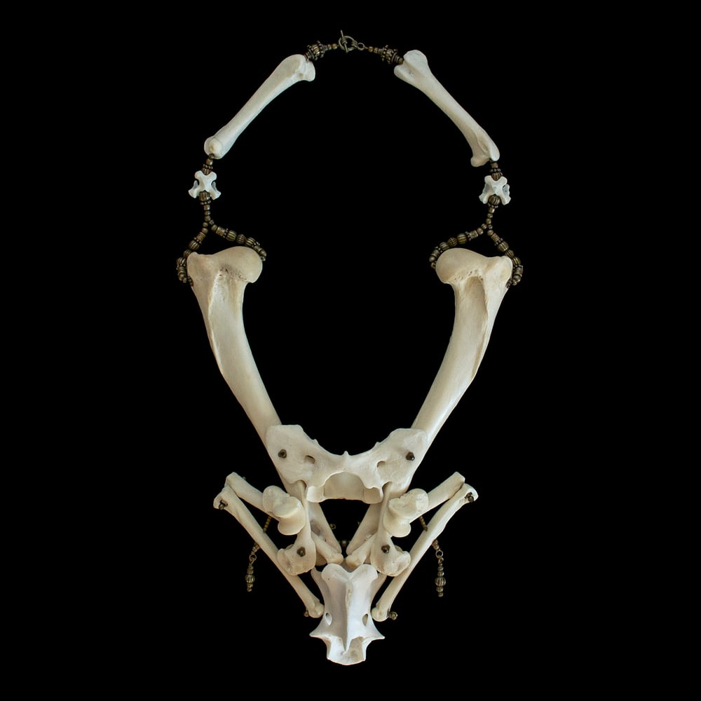 Image of "Ishanta" Coyote Bone Necklace