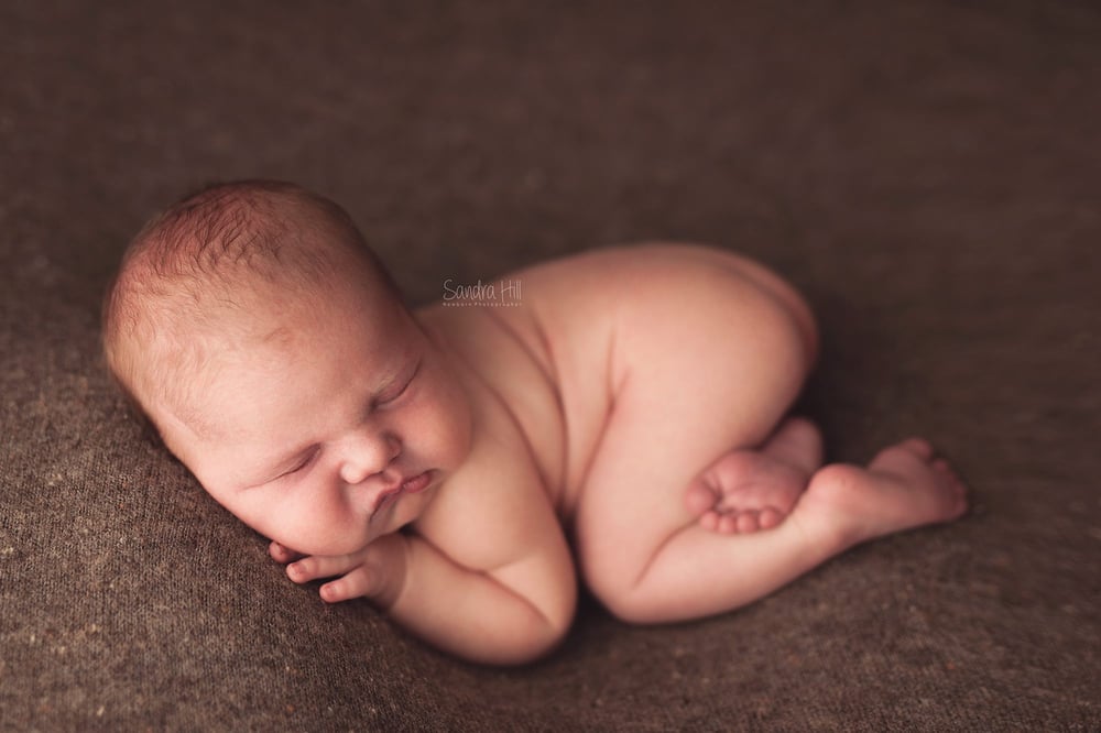 Image of Liam thick knit beanbag backdrop in Brown