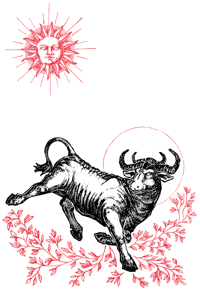 "Taurus" 8.5"x11" Watercolor Print