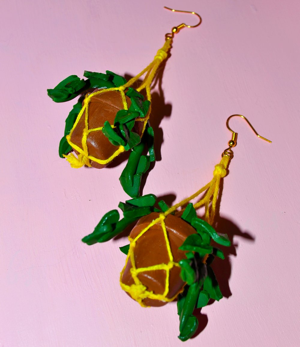 Image of Hanging Planter Earrings