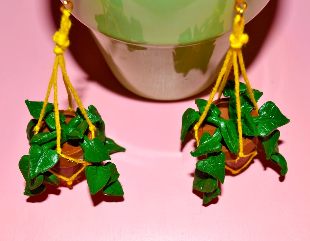 Image of Hanging Planter Earrings