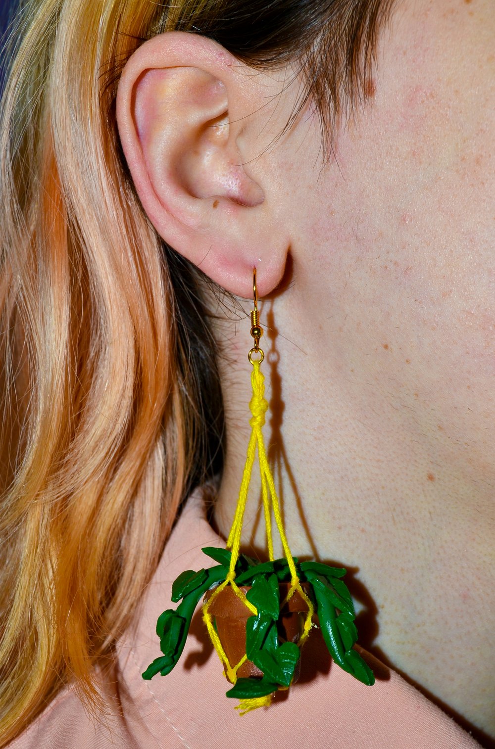 Image of Hanging Planter Earrings