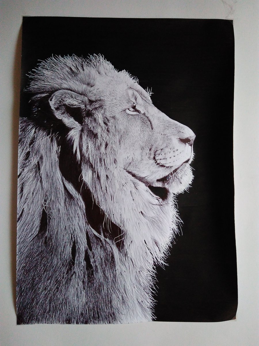 Image of lion