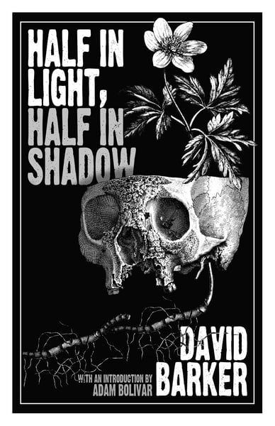 Image of HALF IN LIGHT, HALF IN SHADOW by David Barker *Signed Limited Edition*