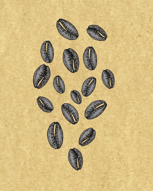 Image of AVAILABLE SOON JUJU MAGIC ORACLE