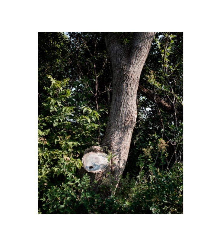 Image of Minnesota Mourning