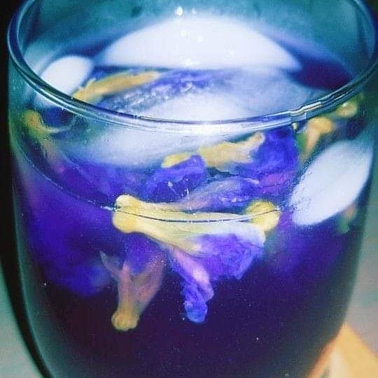 Image of Butterfly Pea