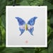 Image of Natura Insects Series 2 -Summer 2017-