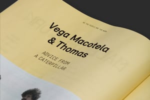 Image of We The People Are The Work Publication