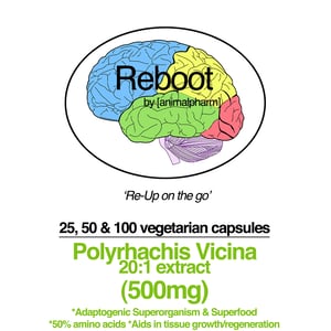 Image of POLYRHACHIS (500MG) (CHINESE BLACK MOUNTAIN ANT 20:1 EXTRACT)