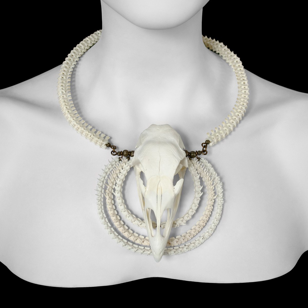 "Soni" Turkey Skull and Snake Bone Necklace / Ossuaria