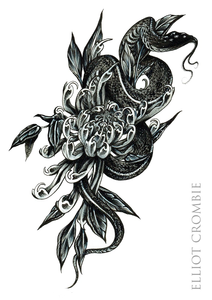 Image of A3 Snake and flower Print