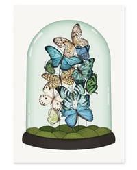 Image 1 of 'Butterfly Dome' Limited Edition Art Print