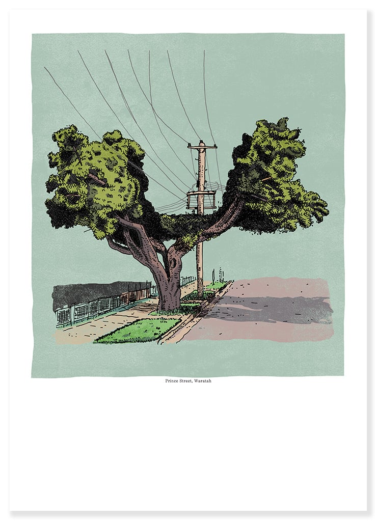 Prince Street, Waratah Digital Print