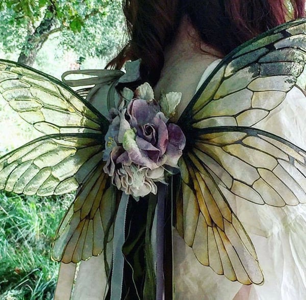 Image of Beautiful wearable natural faerie wings