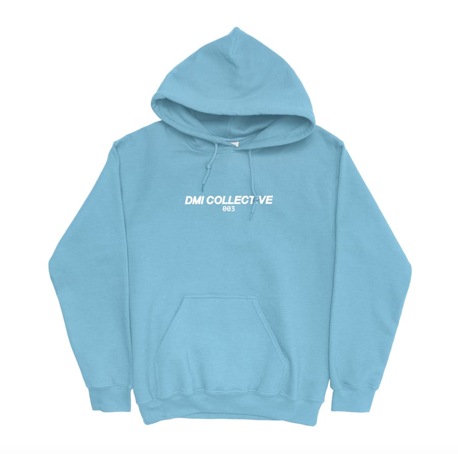 Image of SPRING 2019 HOODIE (BLUE AQUA)