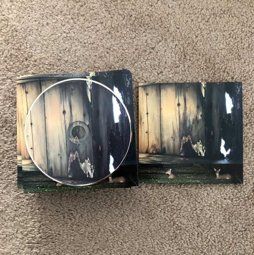 Planning For Burial (continued) CD [GWR11] / Planning For Burial