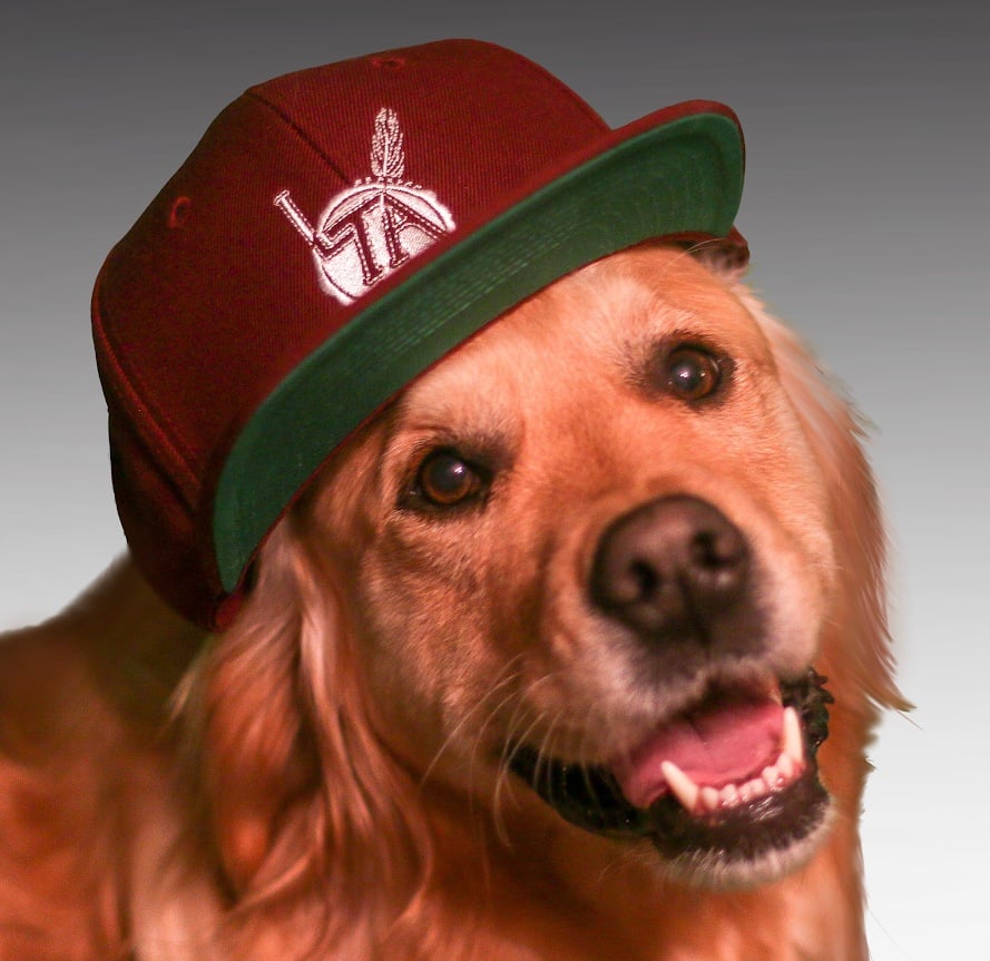 Image of LTA SnapBack 