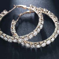 Image 2 of Gold & Silver GLacier Hoops 