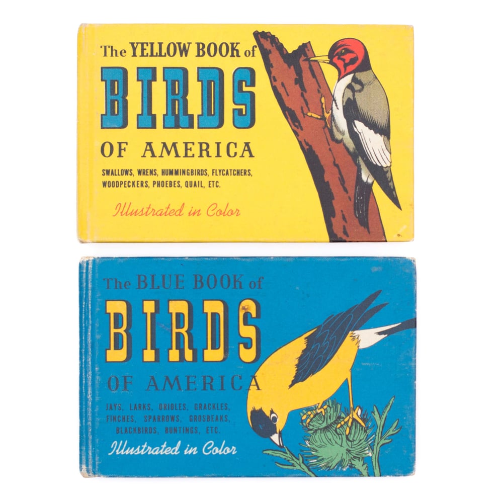 Image of Birds of America Books - Yellow & Blue Books