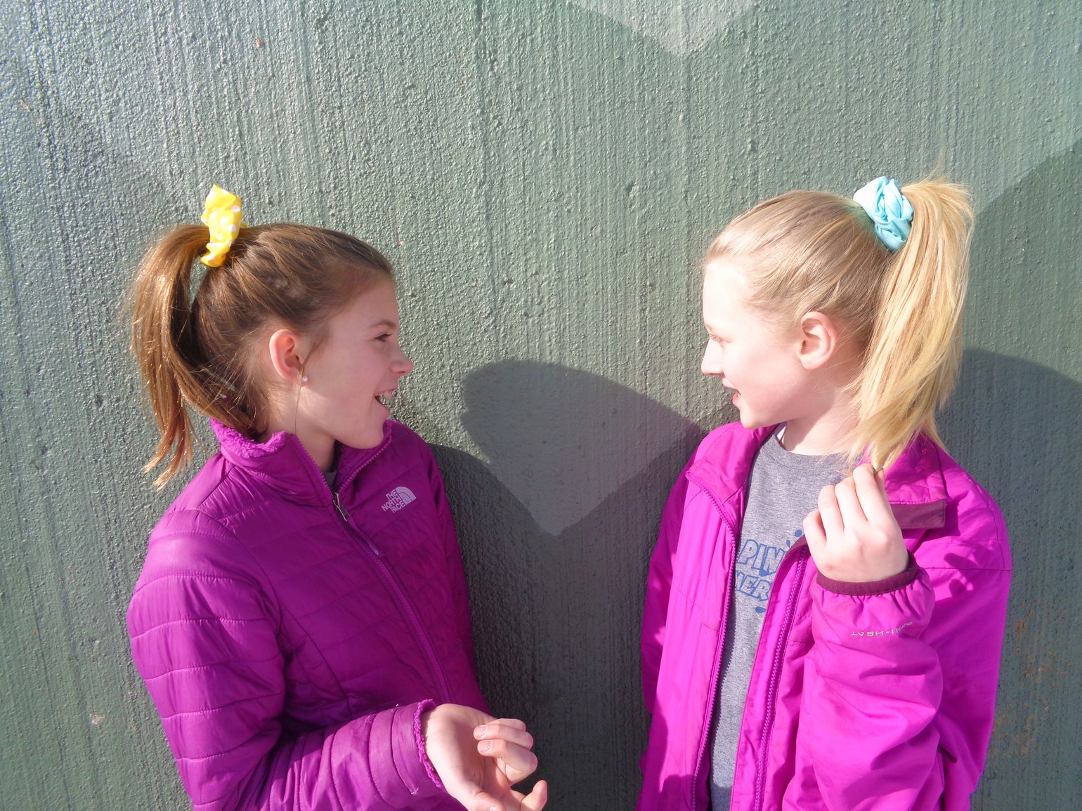 Image of Pastel Scrunchies