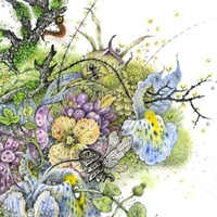 Image 3 of Eoghan* - Print