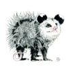 Opossum Joey #1