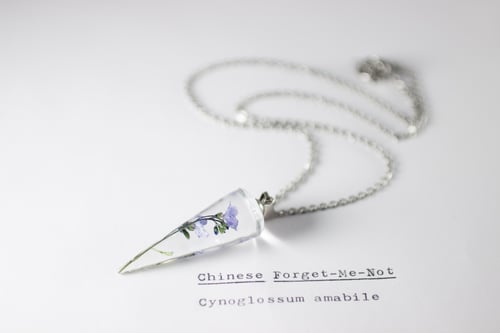 Image of Chinese Forget-Me-Not (Cynoglossum amabile) - Conical Pendant #4