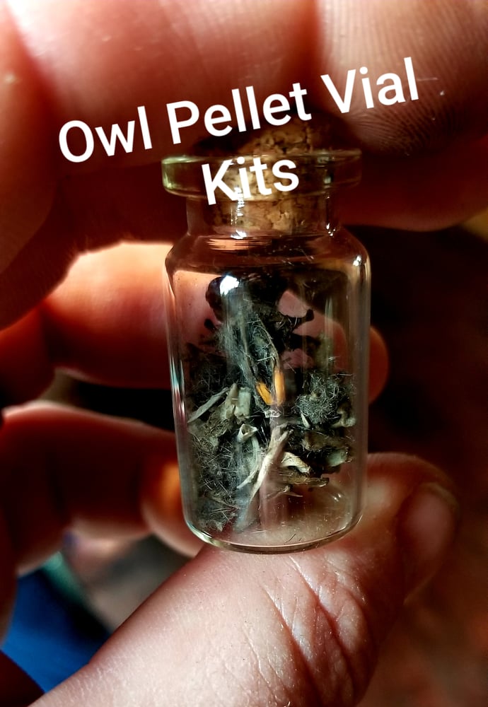 Image of Owl pellet vial kit
