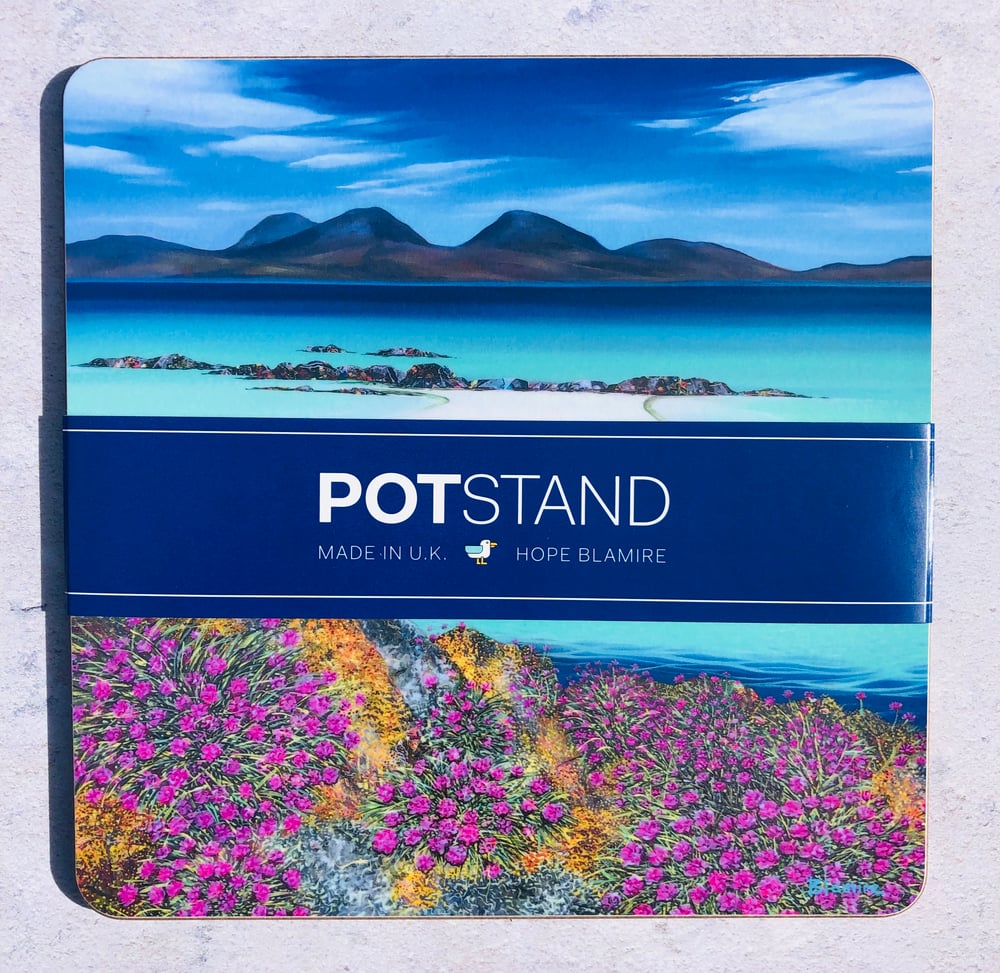Image of Colonsay sea pinks potstand 