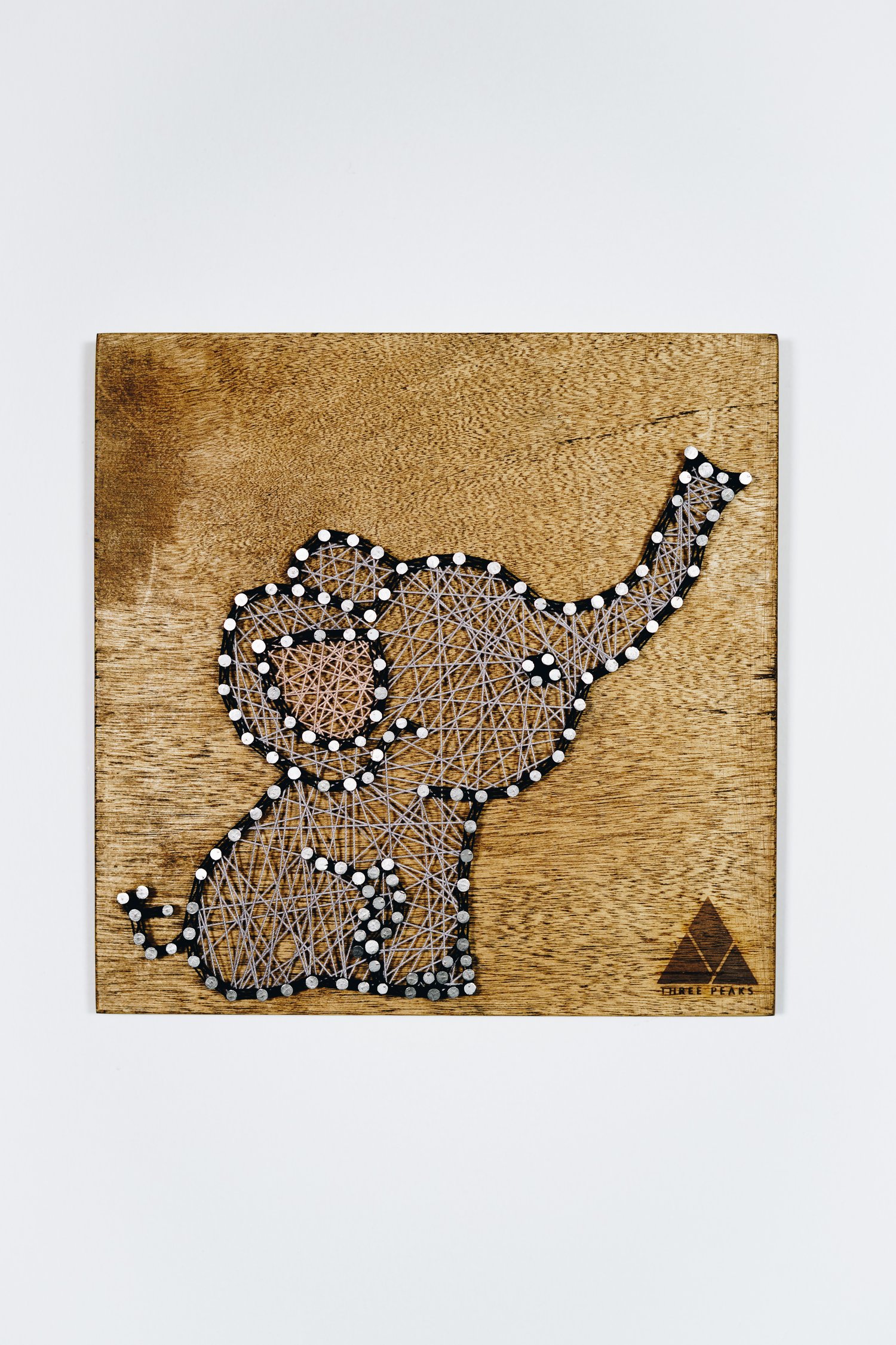 Image of Baby Elephant