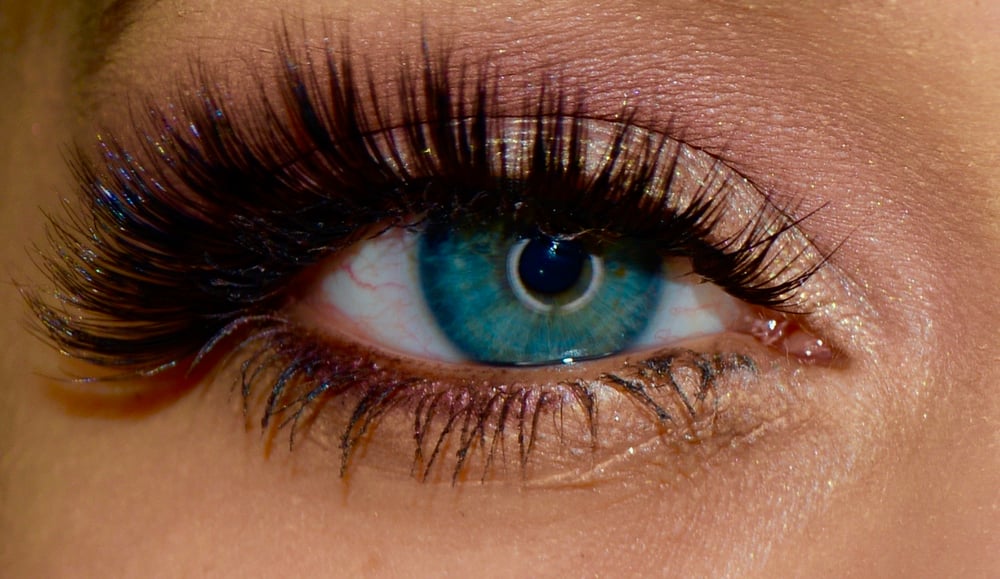 Image of DMV/ M.I.A/ ATL/ The 6ix/ Sin City