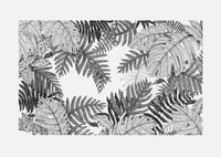 Image 3 of In the Forest Floor