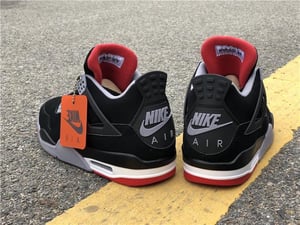 Image of 2019 bred 4s 