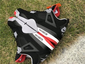 Image of 2019 bred 4s 
