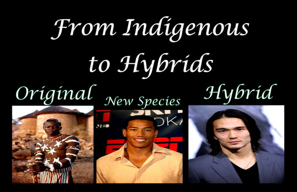 Image of The Tales of the original people and the Hybrids DVD