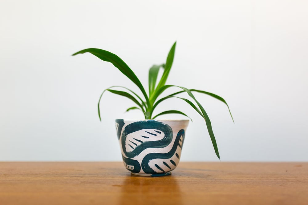 Image of Pre order: Green and White Bean Large Planter
