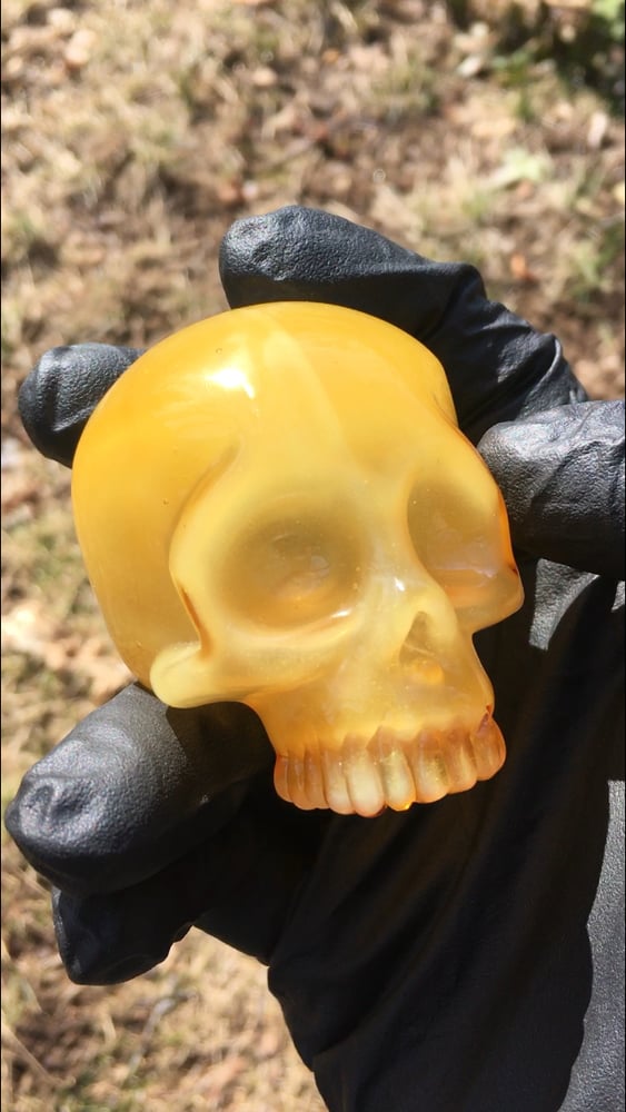 Image of Light Raw Honey Skull